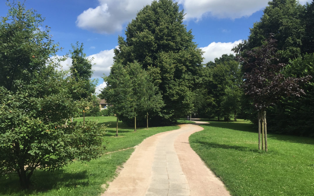 Greifenberg-Park: Wege wurden instandgesetzt